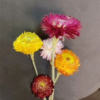 Висококачествени Естествени Цветни Глави Хризантеми, Централните Части На Булчински Цветя, Сухи Цветя, Консервирани, Натурални Растения